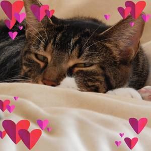 Meet your Posher, Stacey